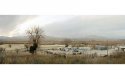 View of Candelaria and San Antonio del Bravo, Candelaria, Texas 2012, 110x280 cm