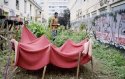 Alpha dans son potager, squat Maurice-Scève